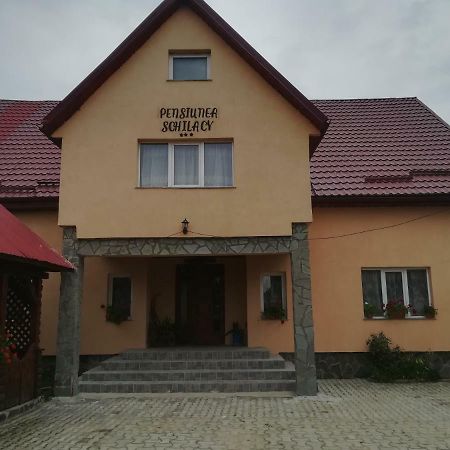 Pensiunea Schilacy Grosii Tiblesului Esterno foto