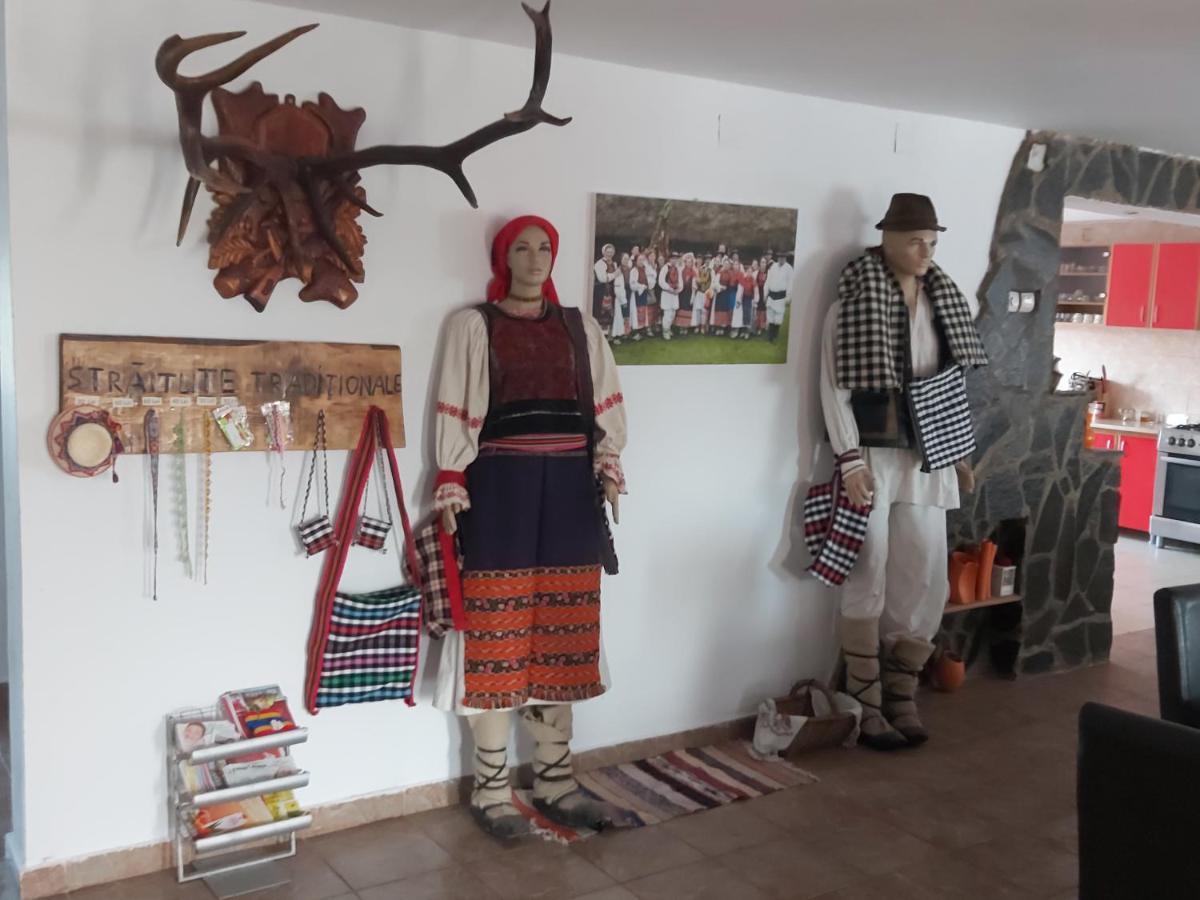 Pensiunea Schilacy Grosii Tiblesului Esterno foto