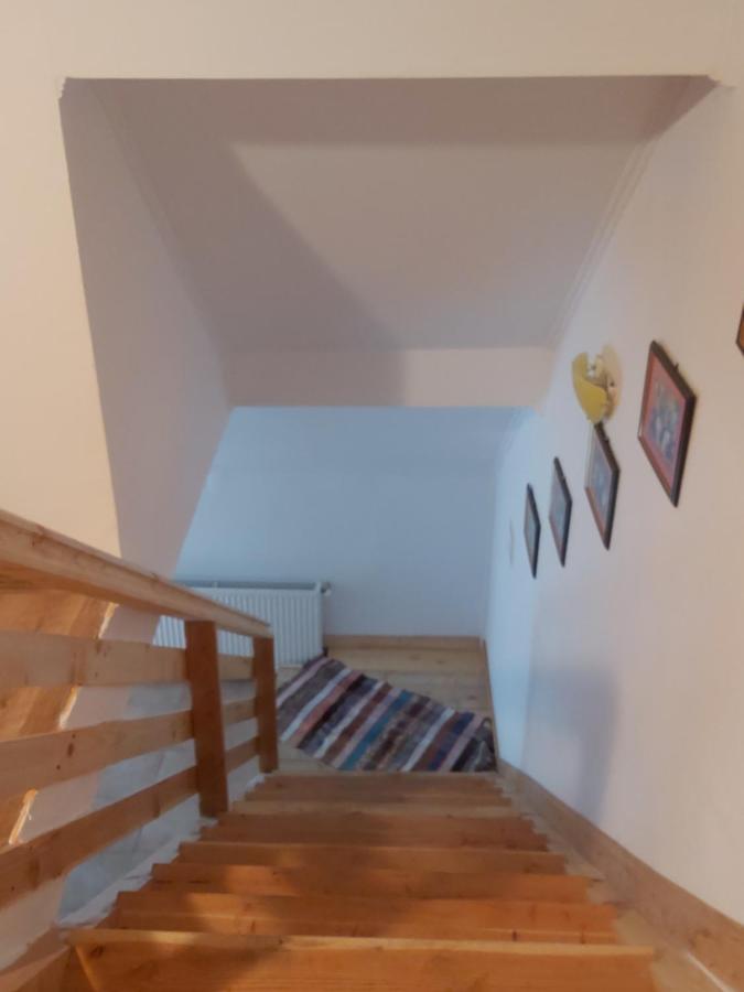 Pensiunea Schilacy Grosii Tiblesului Esterno foto
