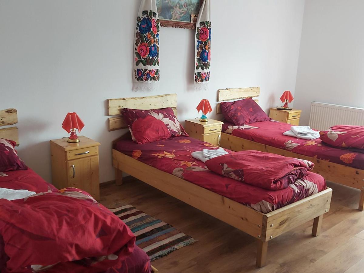 Pensiunea Schilacy Grosii Tiblesului Esterno foto