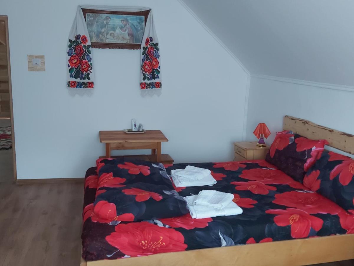 Pensiunea Schilacy Grosii Tiblesului Esterno foto
