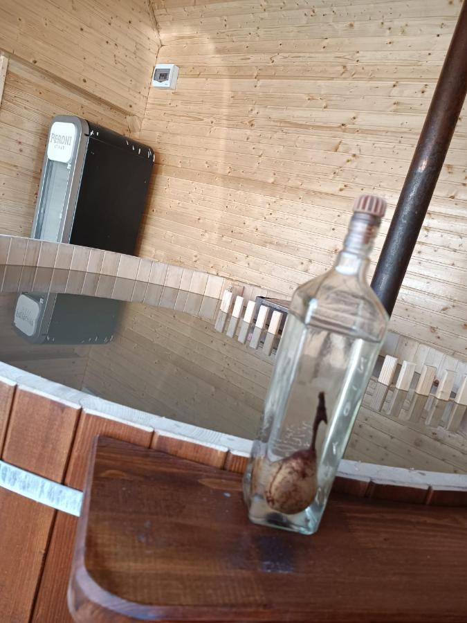 Pensiunea Schilacy Grosii Tiblesului Esterno foto
