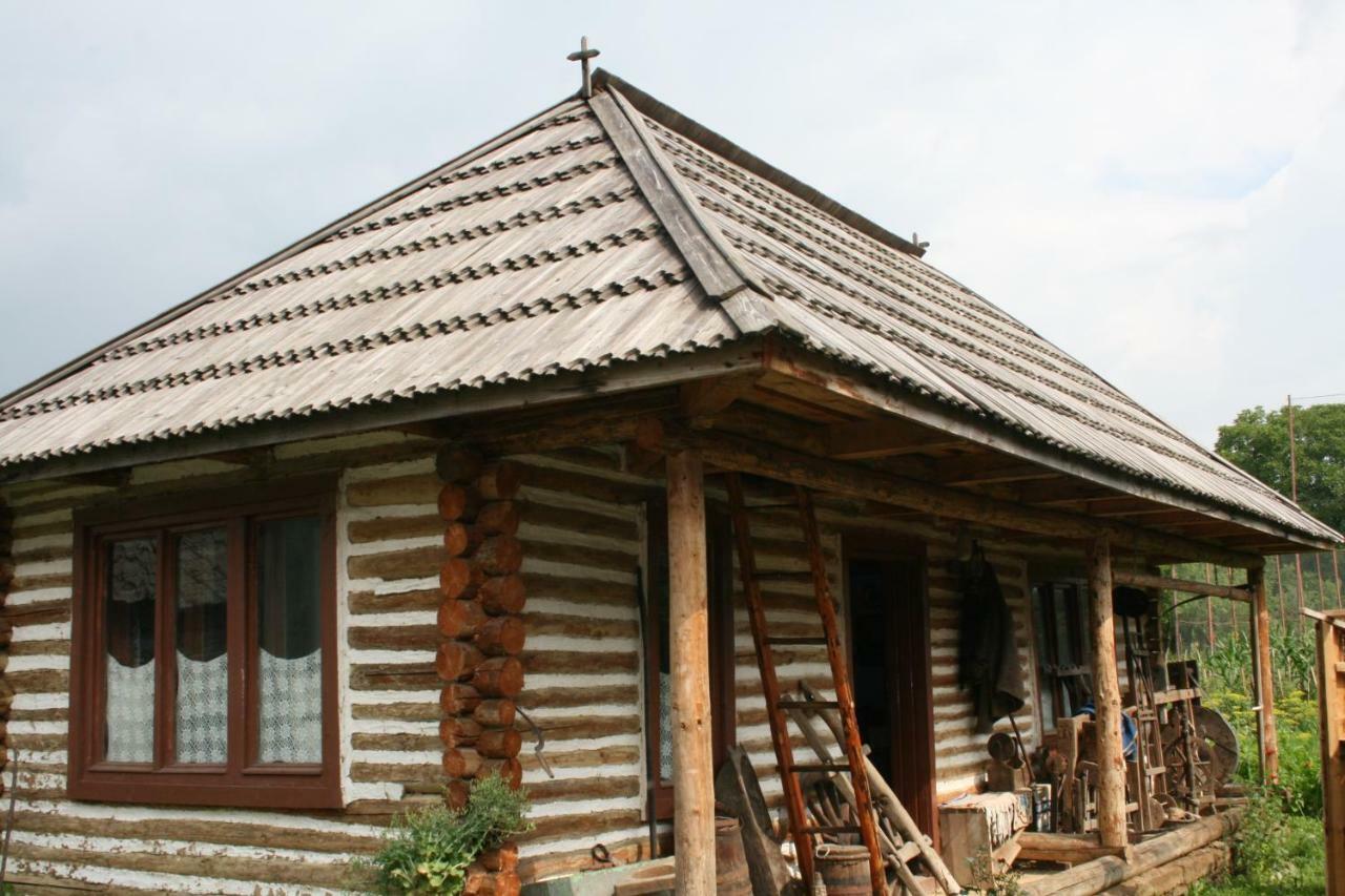 Pensiunea Schilacy Grosii Tiblesului Esterno foto