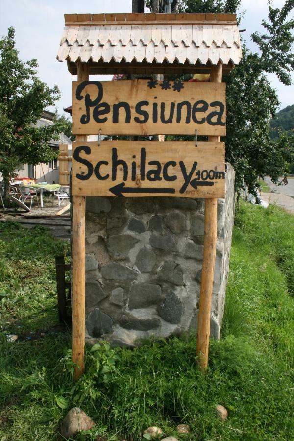 Pensiunea Schilacy Grosii Tiblesului Esterno foto